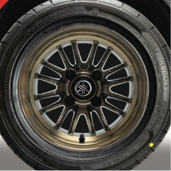 12" 16-Spoke V-Series Radial Bronze Alloy Wheels